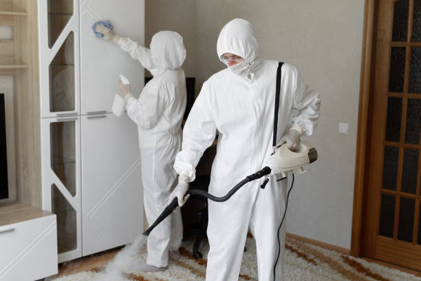 24/7 Emergency Odor Removal experts in Rossville, IN